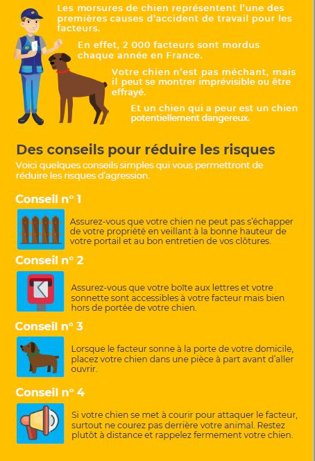 chien et facteur2